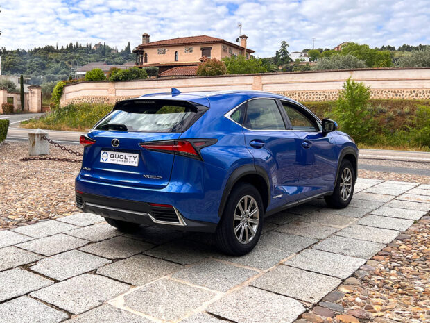 LEXUS NX 2.5 300h Business Navigation 2WD - Imagen 5